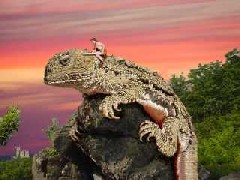 Click for a larger version